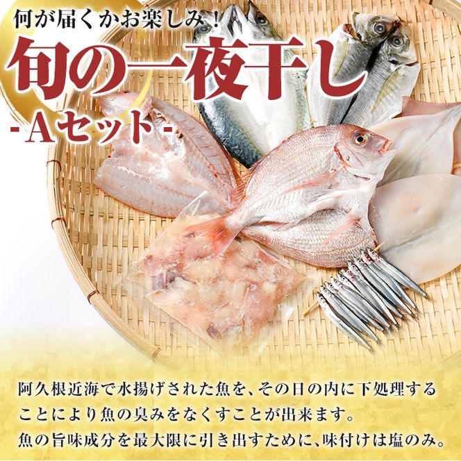 数量限定！阿久根市産の旬の一夜干しグルメ＜A＞セット(鯛・アジ・イカ・サバなど)国産 鮮魚 詰め合わせ お楽しみ 海の幸 魚介類 干物 海鮮【さるがく水産】akn028-06