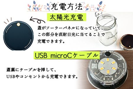 ＜ボタニカルアート ソネングラス＞翌月末迄に順次出荷【a0348_at_x4】