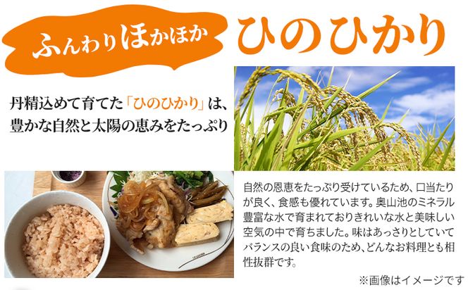 【令和5年産】玄米 岡山県産 ひのひかり 笠岡産 60kg(10kg×6回)《30日以内に出荷予定(土日祝除く)》農事組合法人奥山営農組合 農事組合法人奥山営農組合 太陽の恵み O-2_10k---O-02_60k_g---