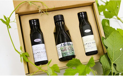 yRJszȂł_Mtgiʂ蔄oT~Rj 020-004