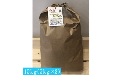 93-2676　志村屋米穀店 令和6年産新米小田原市産　はるみ　15kg（5kgｘ3）＜出荷時期：10月中旬より順次出荷開始＞