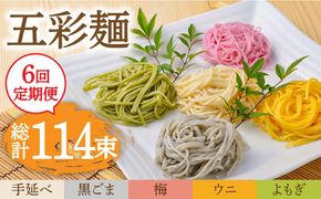 【6回定期便】五彩麺 セット 19束 / そうめん 素麺 黒ごま 梅 うに よもぎ / 麺 乾麺 食べ比べ 詰め合わせ カラフル / 南島原市 / のうち製麺 [SAF031]