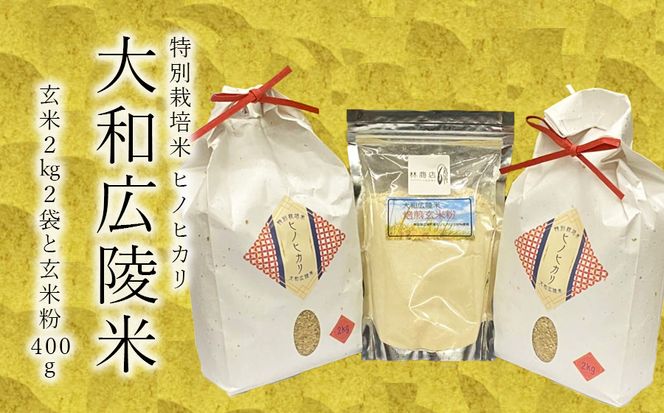 食品/飲料/酒お米 奈良県産ヒノヒカリ玄米