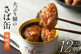 大ぶり鯖のさば缶 12缶セット 味噌煮 [モンマルシェ 宮城県 気仙沼市 20564035] 保存食 さば缶 サバ 鯖 缶詰 缶詰め さば味噌煮 サバ味噌煮 簡単調理 三陸