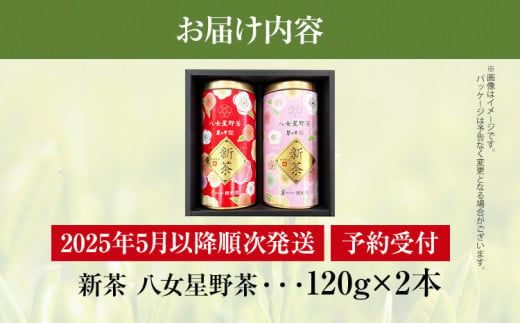 【予約返礼品/2025年5月以降順次発送】新茶 八女星野茶 120g×2本 緑茶 八女茶 お茶 茶葉 セット お取り寄せグルメ お取り寄せ 福岡 お土産 九州 福岡土産 取り寄せ グルメ 福岡県