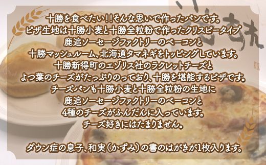 ピザとチーズパンセット SKS003