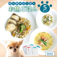 【R15004】ドッグフード　無添加　お魚ごはん5点セット　【犬の手作りごはん】