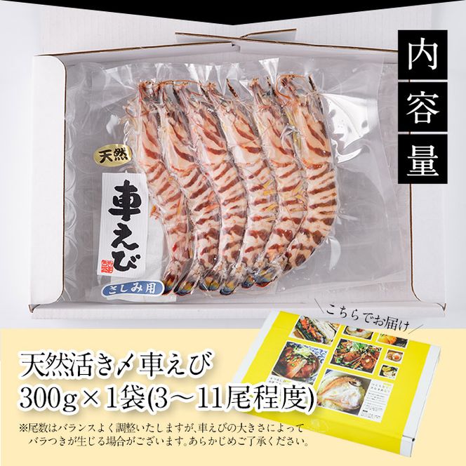  天然 活き〆車エビ 生食用 (計300g) エビ 海老 車海老 冷凍 刺身 さしみ 天ぷら 塩焼 バーベキュー 国産 大分県 大分県 佐伯市【DL18】【鶴見食賓館】