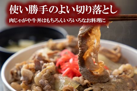 くまもと黒毛和牛 切り落とし 1kg《60日以内に出荷予定(土日祝除く)》 熊本県 長洲町 くまもと黒毛和牛 黒毛和牛 牛肉 肉 牛丼 切落し 株式会社 羽根(出荷元：株式会社酒湊)---sn_fhnkiri_60d_r7_14500_1kg---