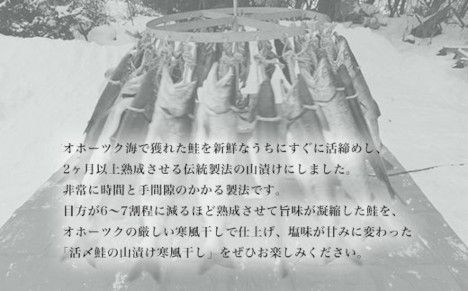 活〆鮭 山漬け 2.6kg前後［姿切身］寒風干し SRMN021