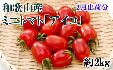 【2月出荷分】ミニトマト「アイコトマト」約2kg（S・Mサイズおまかせ）【TM110】XH023
