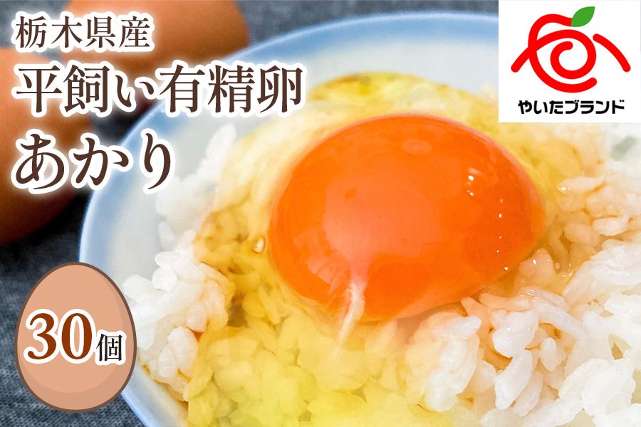 [平飼い有精卵30個] 濃厚な黄身が特徴 ワタナベファームのおてんば長女[平飼い有精卵あかり]