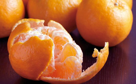 【訳あり】人気の柑橘室戸産ポンカン２.５㎏　rk007