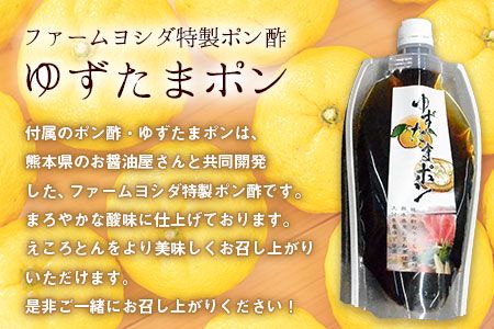 えころとん・豚肉4種(計1050g)　ゆずたましゃぶセット《60日以内に出荷予定(土日祝除く)》熊本県産 有限会社ファームヨシダ---so_ffarmy4yzp_60d_24_15500_1050g---