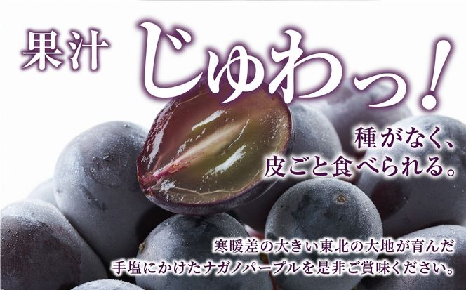 【先行予約】 ナガノパープル 1kg 冷蔵 高級 種無し 種なし ブドウ ぶどう 品種 果物 甘さ 大粒 美味しい 食べ方 人気 ランキング おすすめ 福島県 田村市 鈴木農園 でんじろうさん