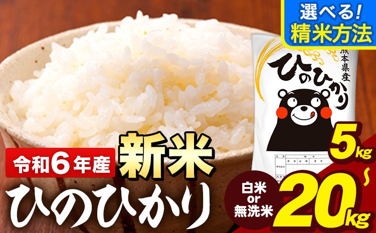 新米 令和6年産 早期先行予約受付中 ひのひかり 選べる精米方法 白米 or 無洗米 5kg 〜 20kg [11月-12月頃出荷予定(土日祝を除く)] 熊本県産 米 精米 ひの 熊本県 大津町---oz_hn6_af11_24_10500_5kg_h---