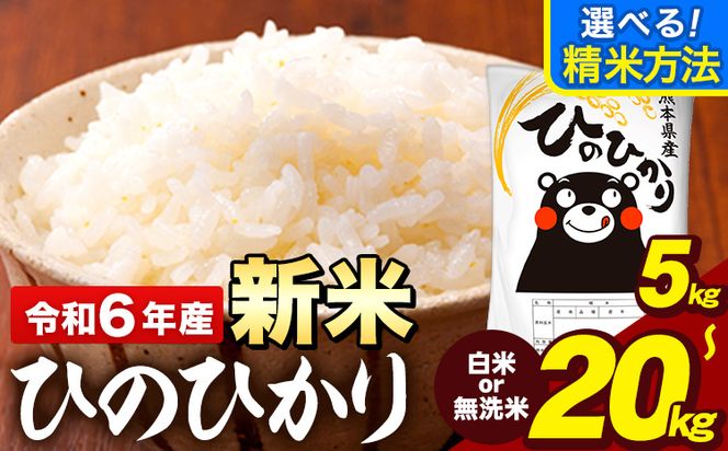  新米 令和6年産 早期先行予約受付中 ひのひかり 選べる精米方法 白米 or 無洗米 5kg ～ 20kg 《11月-12月頃出荷予定(土日祝を除く)》  熊本県産 米 精米 ひの 熊本県 大津町---oz_hn6_af11_24_10500_5kg_h---