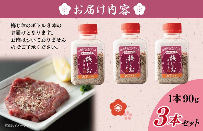 005A553 【スピード発送】焼き肉専門店の梅じおガーリック 90g×3本セット