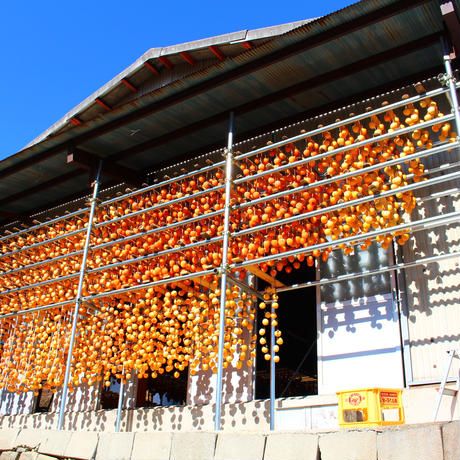 【山梨県産】甲州百目柿 ころ柿2パック(8~12個入)【ご自宅用】 枯露柿 干し柿 ほし柿 ドライフルーツ 山梨 甲州 百目柿 富士川町【A4801】