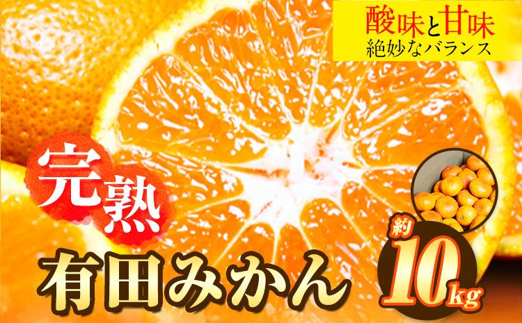 完熟有田みかん 10kg 株式会社魚鶴商店[2024年11月下旬-2025年2月上旬頃出荷]和歌山県 日高町 有田みかん ミカン 蜜柑 フルーツ 柑橘---wsh_utsam_l112_23_17000_10kg---