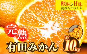 完熟有田みかん 10kg 株式会社魚鶴商店《2024年11月下旬-2025年2月上旬頃出荷》和歌山県 日高町 有田みかん ミカン 蜜柑 フルーツ 柑橘---wsh_utsam_l112_23_17000_10kg---