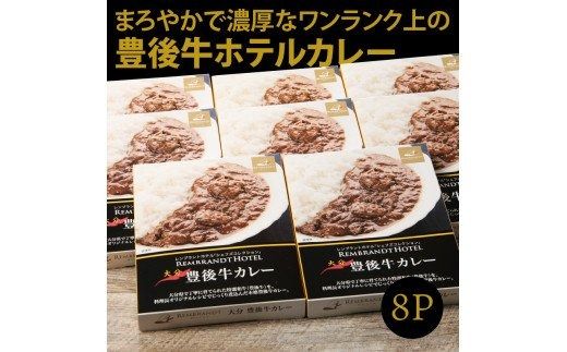 ワンランク上の味わいをご家庭で！豊後牛ホテルカレー_29174A