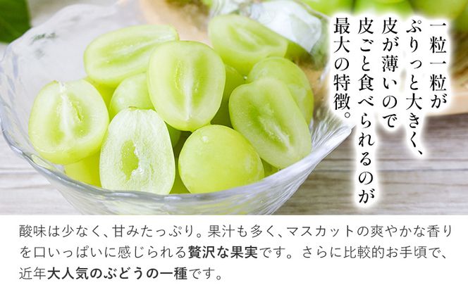 【2026年発送先行予約】岡山県産 冷蔵 シャインマスカット 2房 (540g以上) 【配送不可地域あり】 《2026年11月中旬-12月中旬頃に出荷予定(土日祝除く)》 岡山県 矢掛町 マスカット ぶどう 葡萄 氷温冷蔵 果物 フルーツ ---osy_chbf9_q11_26_23000_2---