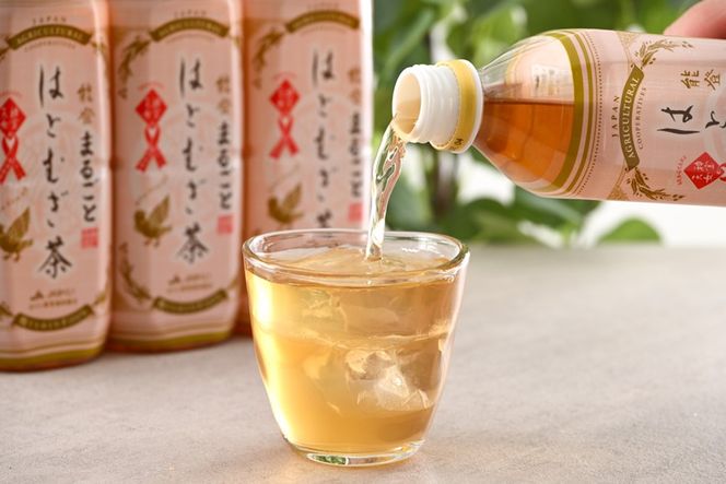 J022]【定期便】能登のはとむぎ茶（500ml）24本セット×6回コース