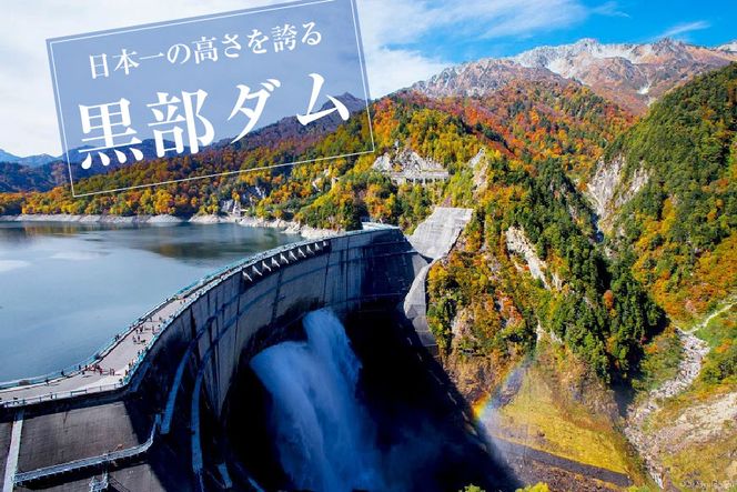 立山黒部アルペンルート ( 立山駅 ～ 黒部湖駅 ※往復 ) 優待券