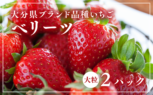0B3-08 【先行予約】大分県ブランドいちご「ベリーツ」大粒（280g×2パック）
