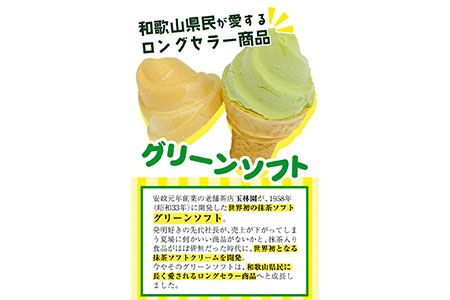 抹茶入りソフトクリーム グリーンソフト 10個入り 玉林園《30日以内に出荷予定(土日祝除く)》 和歌山県 紀の川市 抹茶 ソフト ソフトクリーム アイス スイーツ 10個 冷凍 送料無料---wsk_fgremsc_30d_22_11000_10p---