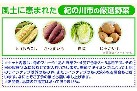 紀の川市の恵み 旬のフルーツ＆野菜セット 計3~5品《30日以内に出荷予定(土日祝除く)》和歌山県 紀の川市 フルーツ 果物 野菜 セット 桃 梅 みかん 新玉ねぎ なす トマト キャベツ---wfn_cwlocal68_30d_25_11000_3h5h---
