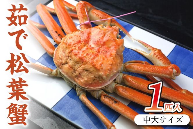 ys{Osz{CY uhI 䥂ŏtI yIz TCY@matubakani800@SS00094