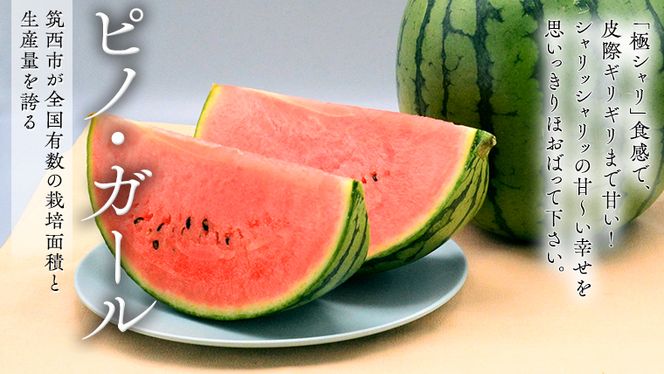 【 筑西ブランド 認証品 】 旬のフルーツ 定期便 ( ミニコース ) 2026年産 先行予約 JA 幸水 豊水 こだまスイカ 黒こだま ピノ・ガール 果物 フルーツ なし 和梨 小玉すいか 小玉 すいか スイカ [AE013ci]