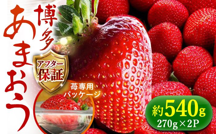 [予約受付][2月1日より順次発送]農家直送 朝採り新鮮いちご[博多あまおう]約270g×2[築上町][株式会社H&Futures][ABDG003]
