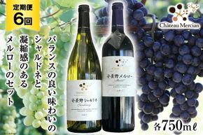 定期便 ワイン 赤 白 安曇野メルロー & 安曇野シャルドネ 各 750ml 6回 計 12本 [シャトー・メルシャン 勝沼ワイナリー 長野県 池田町 48110306] 飲み比べ 赤ワイン 白ワイン 赤白