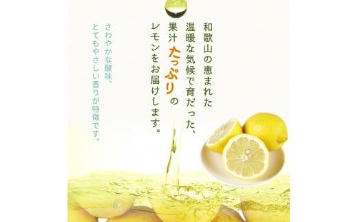 【ご家庭用訳あり】 紀州有田産レモン 2.5kg【2025年3月上旬以降発送】【先行予約】【UT46】】XF91086