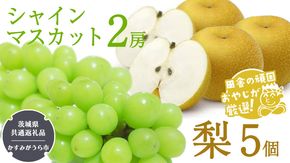 シャインマスカット2房と梨5個【令和6年8月より発送開始】（茨城県共通返礼品：かすみがうら市産） 詰め合わせ 果物 フルーツ 茨城県産 [BI438-NT]