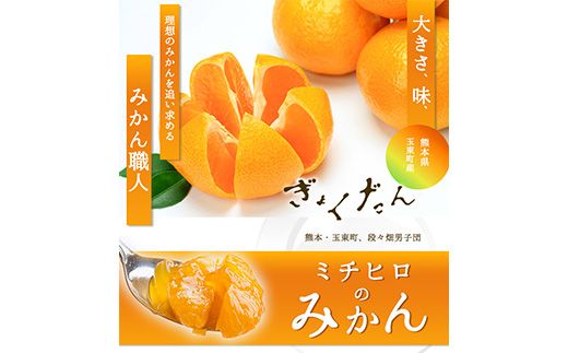 ぎょくだん『ミチヒロ』のみかん★約5kg(サイズ混合) 予約受付中 フルーツ 秋 旬★熊本県玉名郡玉東町『熊本・玉東、玉東町段々畑男子団。』みかん ぷらっとぎょくとう《10月下旬-1月下旬出荷》---sg_michimikan_p101_24_11500_5kg---