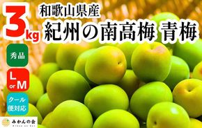 ［2026年6月上旬出荷］青梅 南高梅 3kg 秀品 LまたはMサイズ 和歌山県産 A品 梅酒作り用 梅ジュース作り用 AX94