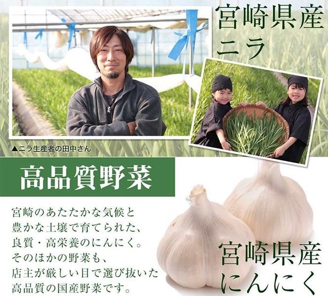 【宮崎空港で大人気!】TV番組で餃子日本一獲得!＜餃子の馬渡馬渡のもっちり餃子40個と手羽餃子9本セット＞翌月末迄に順次出荷【c014_mw_x3】 餃子の馬渡 ぎょうざ ギョウザ 手羽先餃子