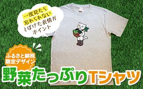 野菜たっぷりTシャツ [AE01-NT]