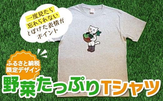 野菜たっぷりTシャツ [AE01-NT]