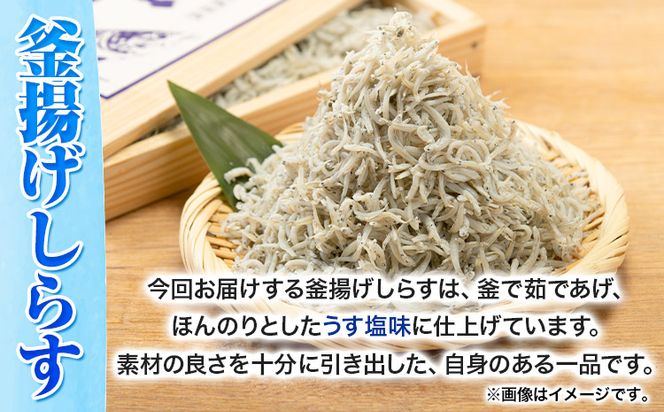 釜揚げ しらす 約600g (約300g×2) 株式会社はし長 《30日以内に出荷予定(土日祝除く)》 和歌山県 日高町 釜揚げ しらす---wsh_fhsn10_30d_23_17000_600g---