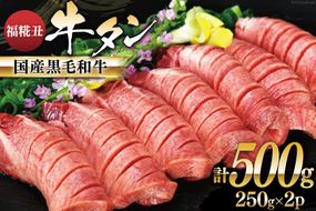 牛タン 国産黒毛和牛 「福糀丑(ふっこううし)」計500g(250g×2p) [アーバン 宮城県 気仙沼市 20563831] 国産 牛たん 和牛 芯たん スライス 厚切り 味付き 冷凍 