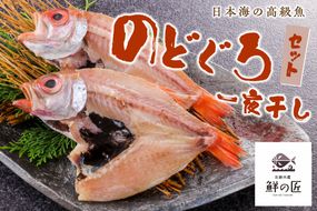 【北畿水産 鮮の匠】のどぐろ一夜干し3匹セット 魚介類 魚介 魚 のどぐろ 一夜干し 干物 干し物 セット 詰め合わせ 美味しい 高級魚　HK00274