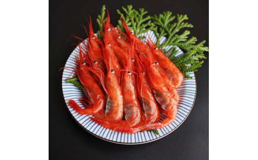 ykCȒzytzkCY Â LTCY500g hg g  X` i Ⓚ VՂ { CN Ȓ ӂ邳Ɣ[
