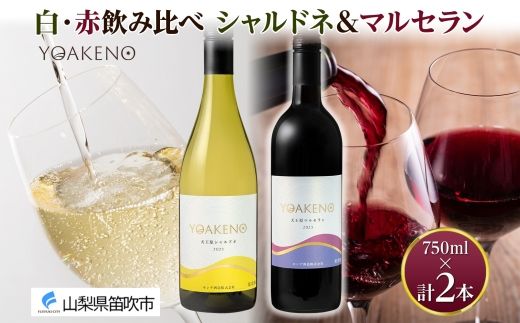 yRJszsnl ΉtYOAKENO EԈݔׁiVVhlE}Zje1{ v2{ 177-4-080