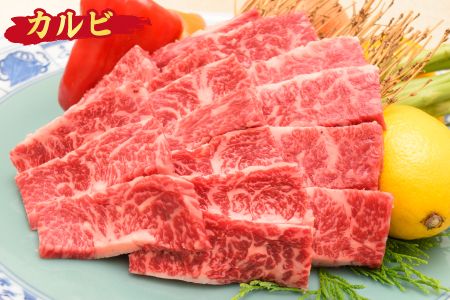 佐賀牛 カルビ 焼肉用 400g A5 A4 【期間限定 希少 国産和牛 牛肉 肉 牛 焼肉】(H085175)
