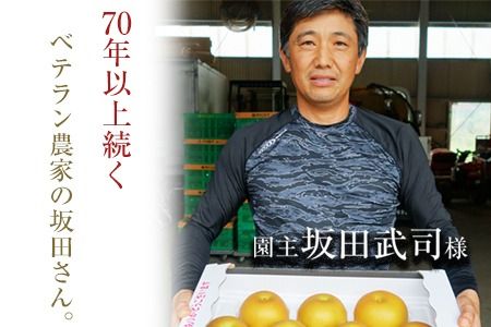 『坂田農園』の玉東梨 約5kg《8月中旬-9月末頃出荷》 熊本県玉名郡玉東町産『坂田農園』なし 果物 スイーツ フルーツ デザート スムージー 熊本県玉東町---sg_csktns_bc8_r8_14500_5kg---